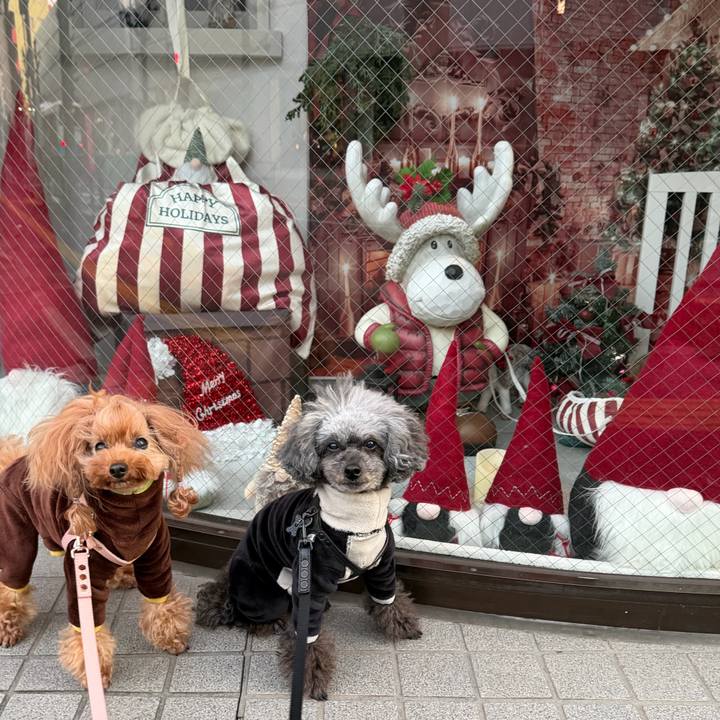 A50a810a 9c91 4752 b816 d2ac76a00ab9 1764546885070