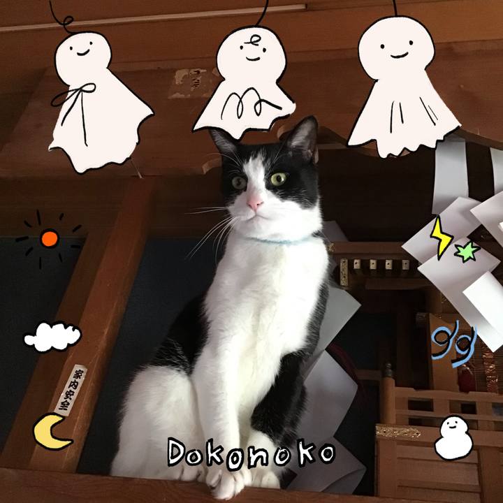 A50a9801 76fa 4155 a7bc 7446efb81b23 1749197772626