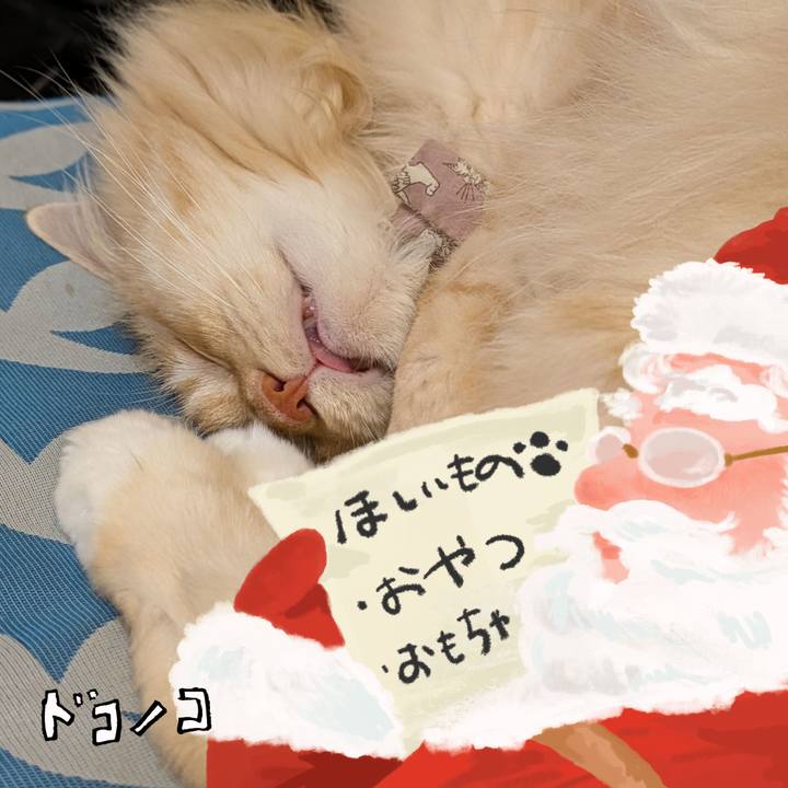 A50a9b3b fa8e 45fb 8db6 c89682b9c647 1729061409258