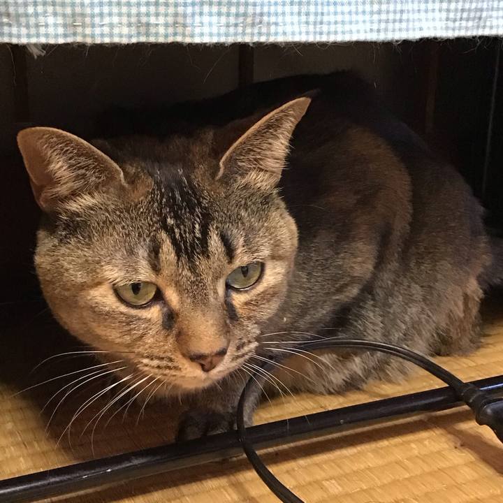 A50a9c2e 9ef3 423d 8d2f 4a76614eb533 1706095550805