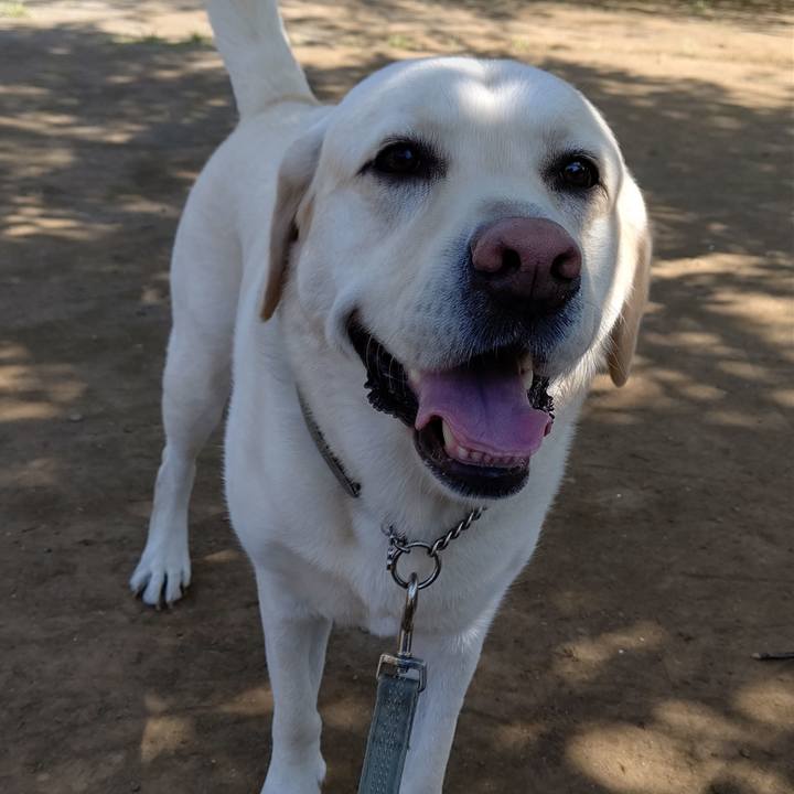 A50ac6e2 a5b7 4829 9b49 0af26bd7ca76 1591751391804