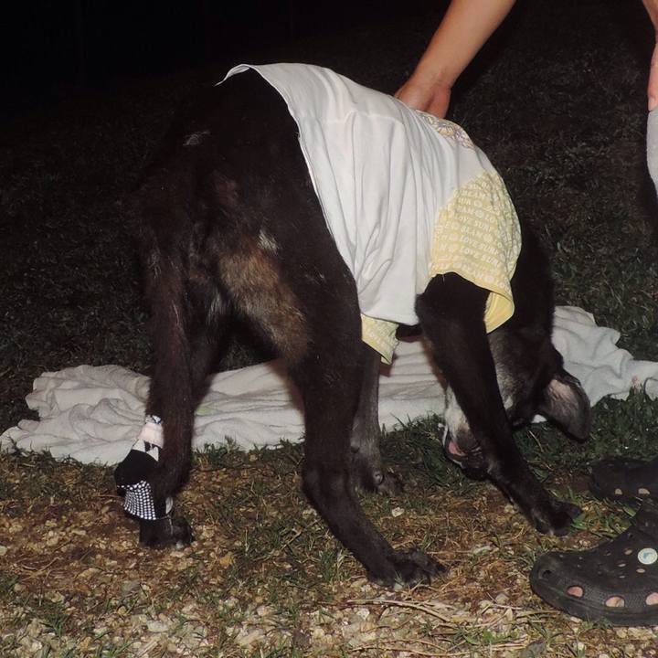 A50aca28 9b95 4185 b5af 9a4ac82cc25e 1516458734238