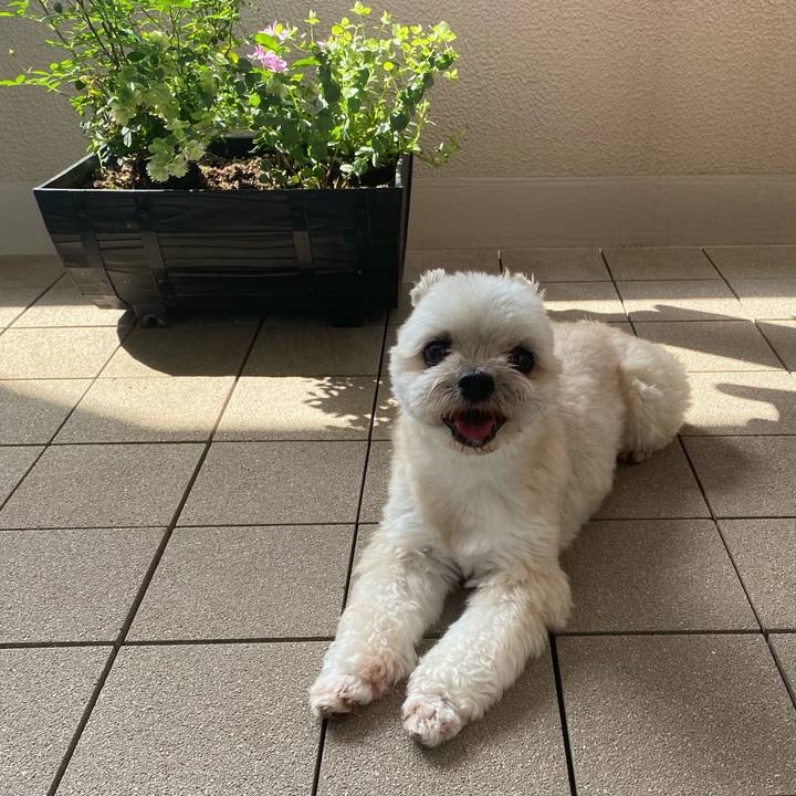 A50ae1ed 4d65 462a 8f77 7e94d728446c 1750463408227