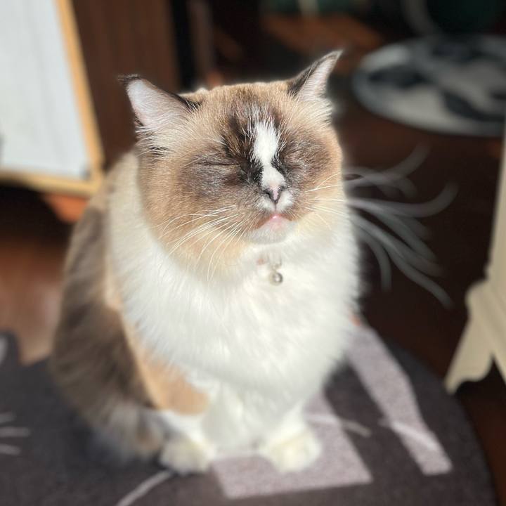 A50b2e01 9eae 4813 8474 8c5871baf9e6 1640919175621