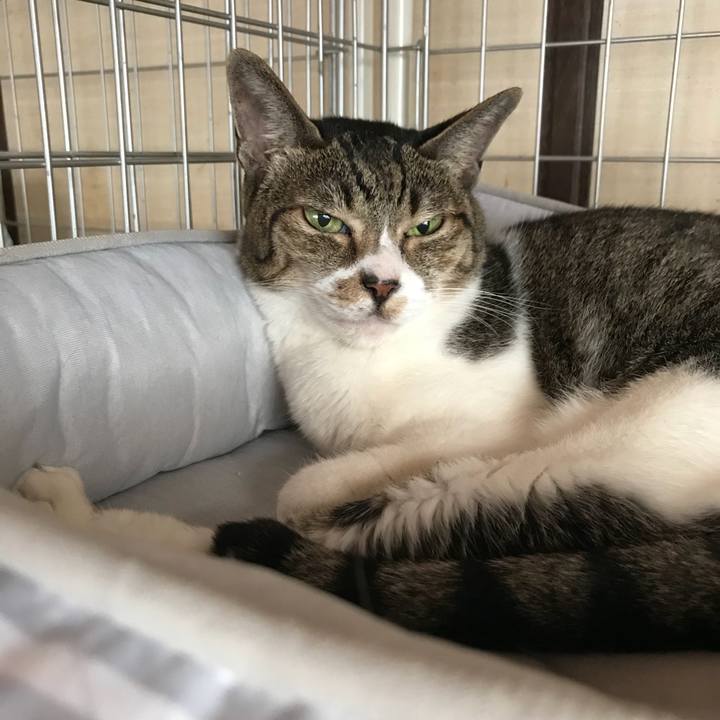 A50b3014 4d96 4166 b984 38fde8289b7e 1536623976615