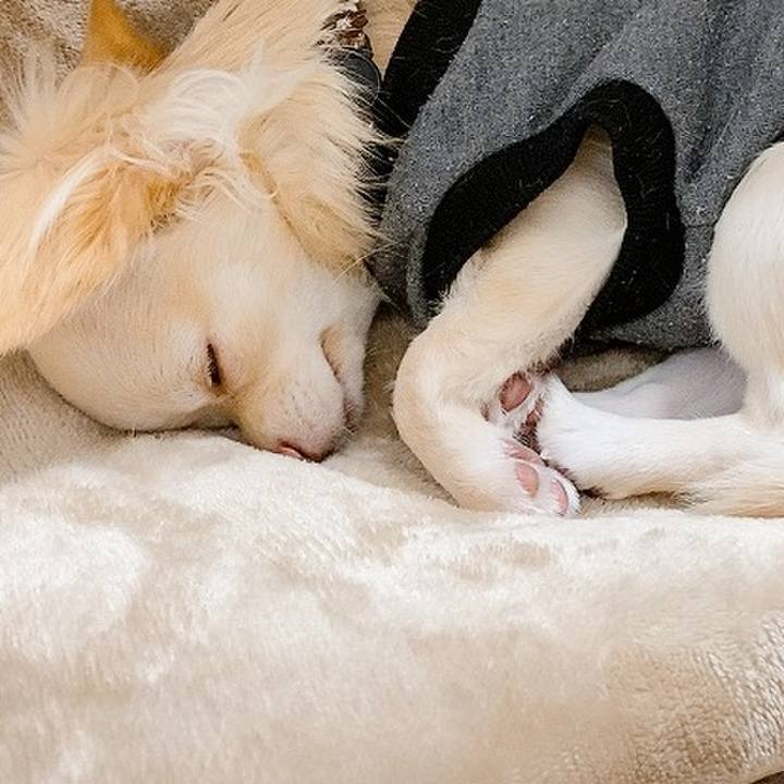 A50b34c0 06ed 40a8 a833 cac2249c99da 1604914180389