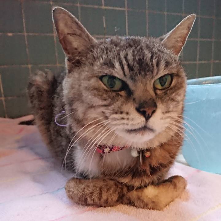 A50b3881 e166 43fc a9d0 7063b37126e6 1595669578873