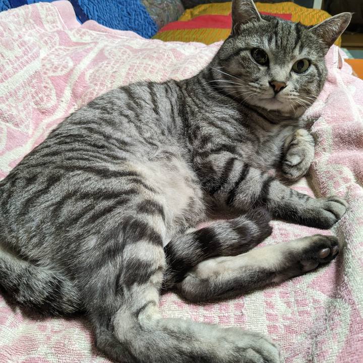 A50b4aba 7496 42f2 b28e 763d7c4079a0 1707652944315