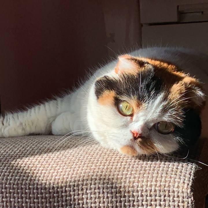 A50bb827 fa03 4ae7 bc1f 94b2d69227cf 1567463728493