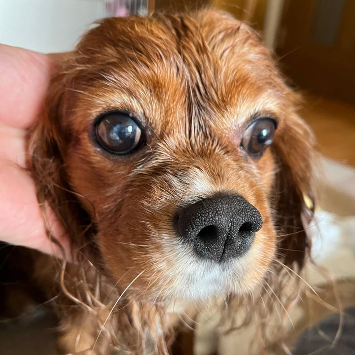 A50bbb02 26f6 4d17 9c50 54a3a4da0711 1657323044964