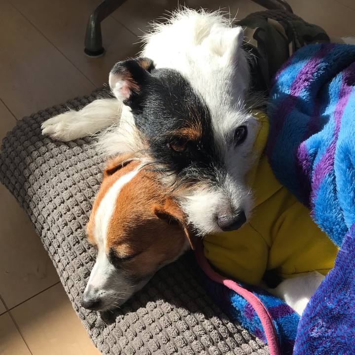 A50c0f1f 4874 4293 b841 e0d6766a346c 1544752223125