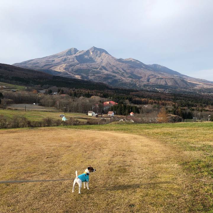 A50c12c0 a6c0 400b bd51 a171dec43317 1542793933725