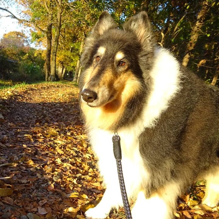 A50c311c 6744 4d49 8889 b75c0af566a6 1575982316235