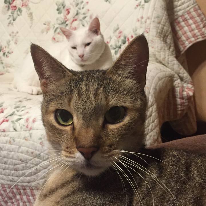 A50c4493 042b 4f75 b0b0 d253b1d18cb8 1566831405438