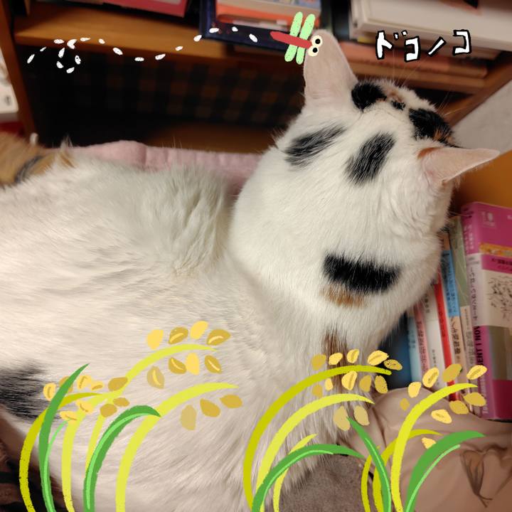 A50c99bd 8eab 444a 8c6c 479ba781b92a 1762348102566