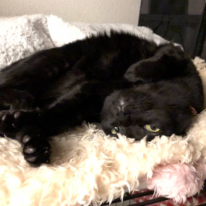 A50ca796 e836 487c b5ae 796b4d4186f3 1525609244253