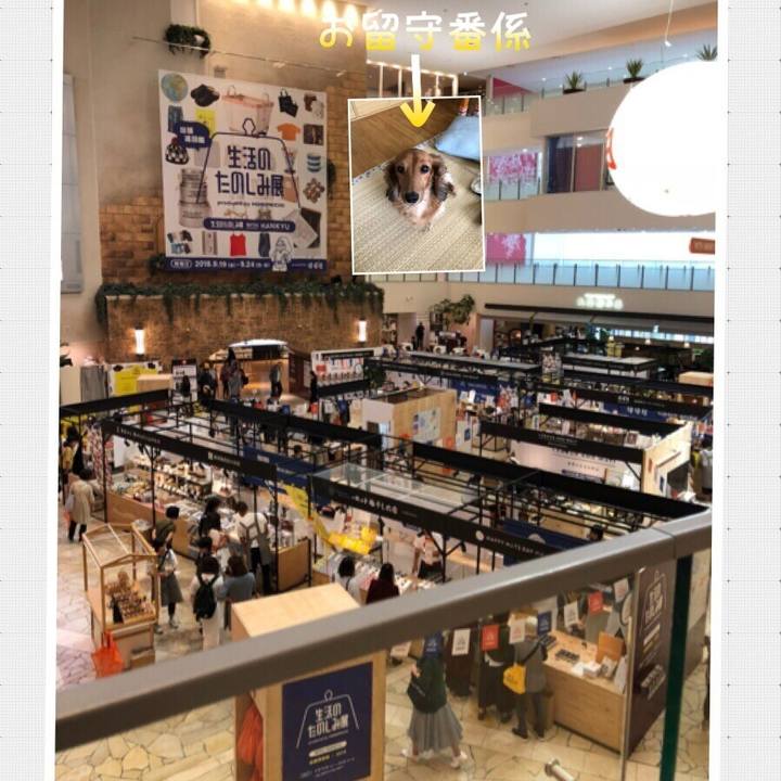 A50d1600 bdbe 4457 835f 25e749bf07f3 1537506491959