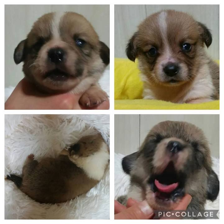 A50d30bf d7af 4aee a335 a9af0b9ca8b5 1614130626821