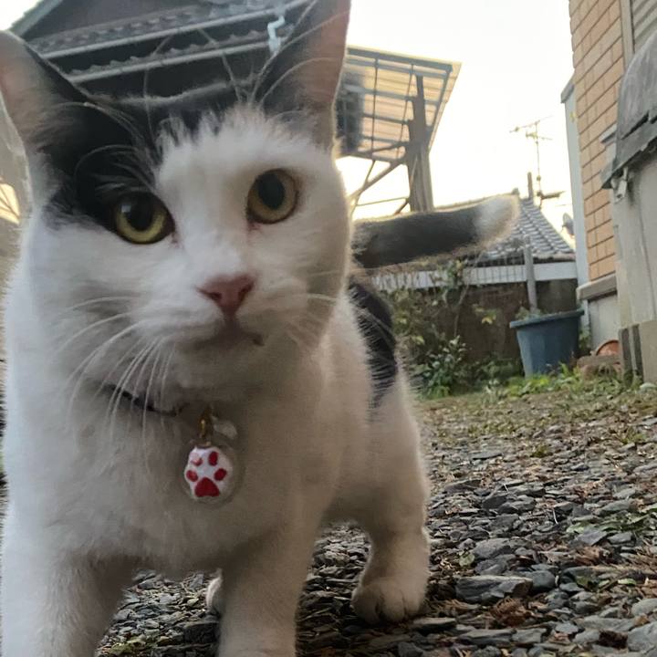 A50d355d 4bf1 4ad8 aa50 eb93044e4a43 1641162900282