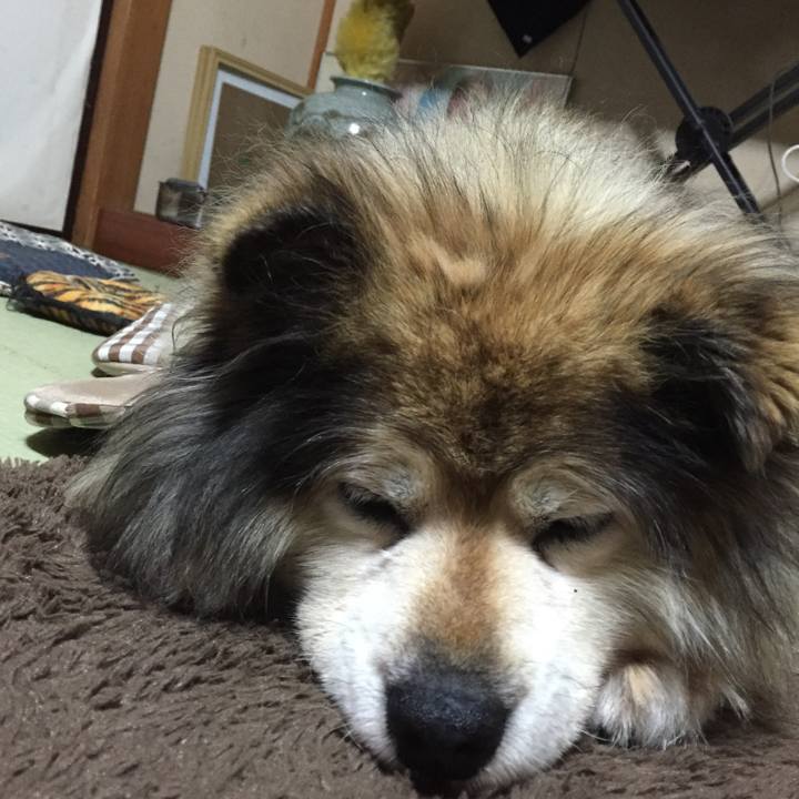 A50d9fd8 f499 4c6d ba57 e7d91a4366e2 1613275652752