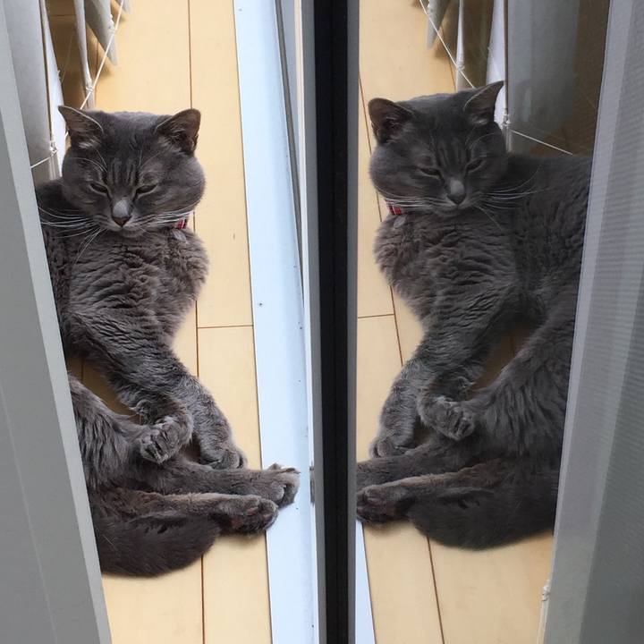 A50da38b b432 4464 9a0d bfaba33a430e 1538623353605