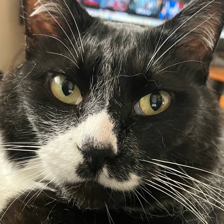 A50da5d2 8e3b 4103 87f9 1597605a8a79 1758338941065