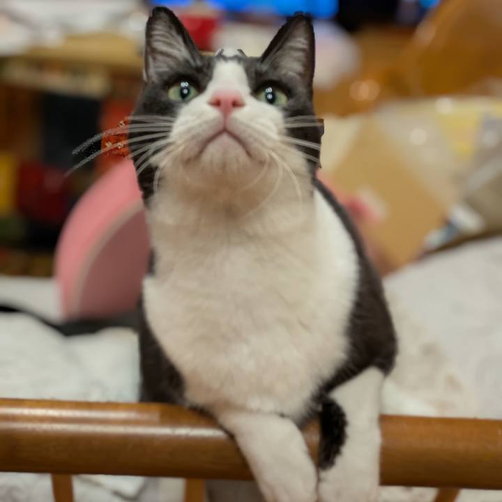 A50dd40e 5722 46eb ab76 b0899fab04a3 1762514669776