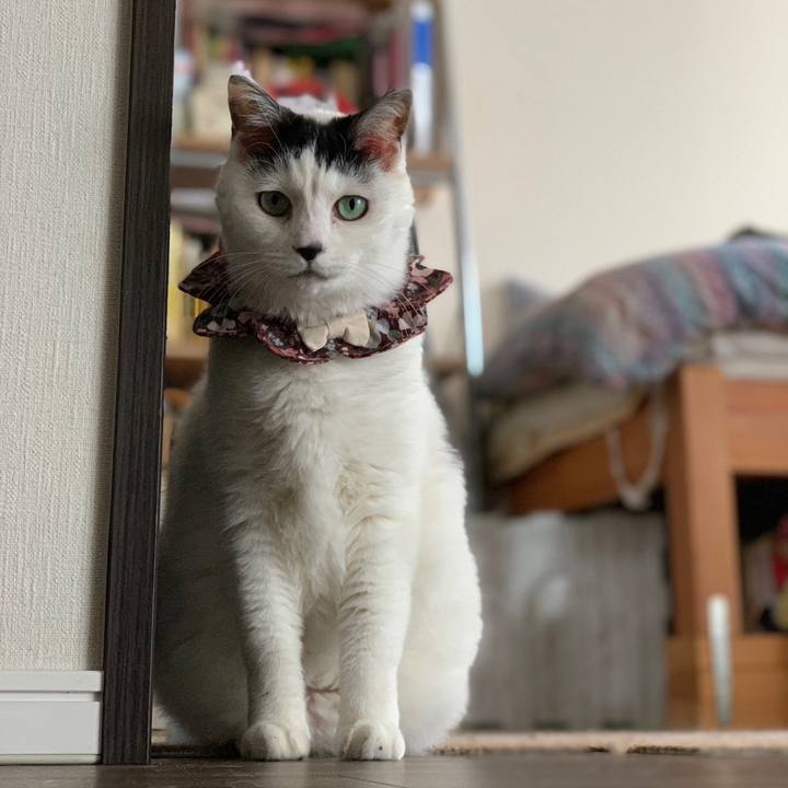 A50e0cdc 05b2 43e9 a09b d5d54636a869 1680464262477