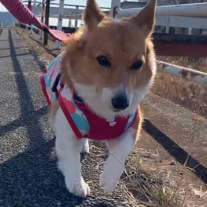 A50e1a4c 7f8c 4978 a49c f4f9ecb11954 1673938555385