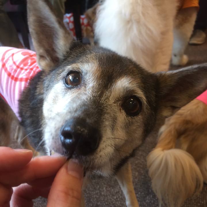 A50e376d 89d7 4770 b9c0 a5bcf8683074 1536410855823