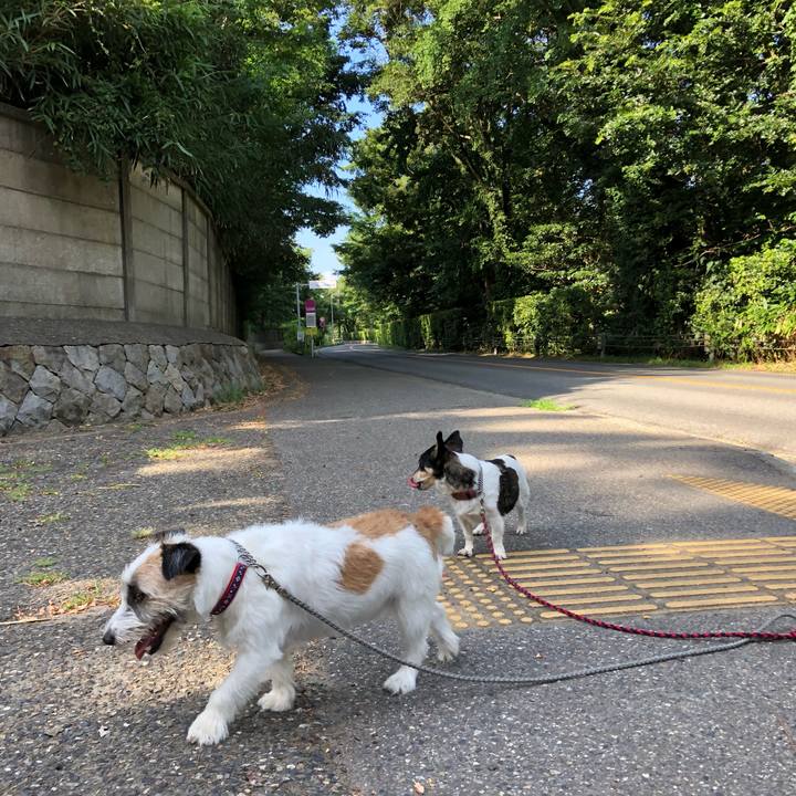 A50e535f 1fa4 43af 9bc6 47fd8d5d400d 1565479805496