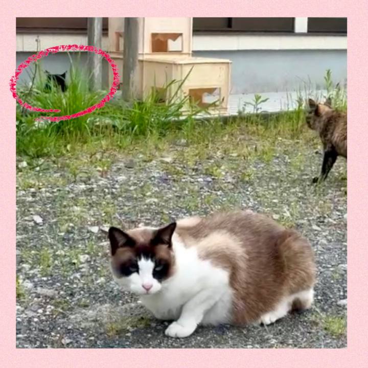 A50e64da f4dc 47cd babb 5caa52624ecd 1747207541016