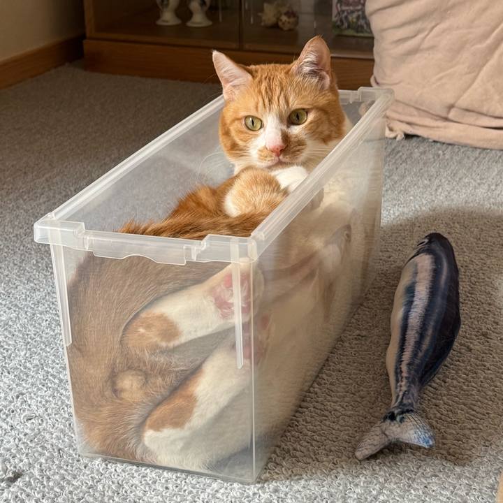 A50e74d9 c0ba 425b ae22 c38d6b530858 1773023275469