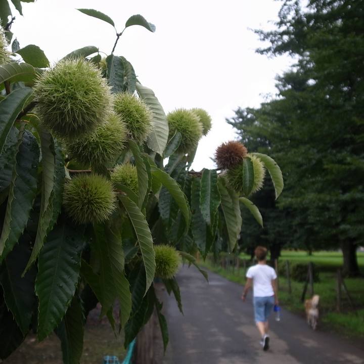 A50e7a9f 3e9d 4df9 8857 97e1664e2eb4 1611705455312