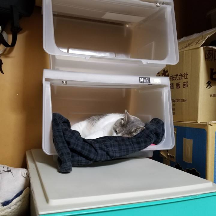 A50e83a4 f548 4133 98e4 f9105d1121f0 1655211974977