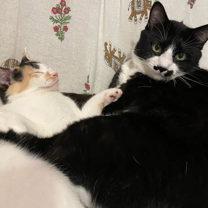 A50ec436 a927 4209 b80d 2ba7d8a01911 1666002200998