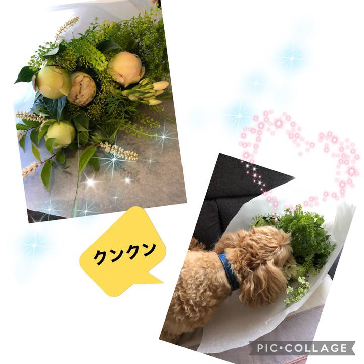 A50efd3e fcd7 4927 a2a2 bf6d666a135c 1621066083483