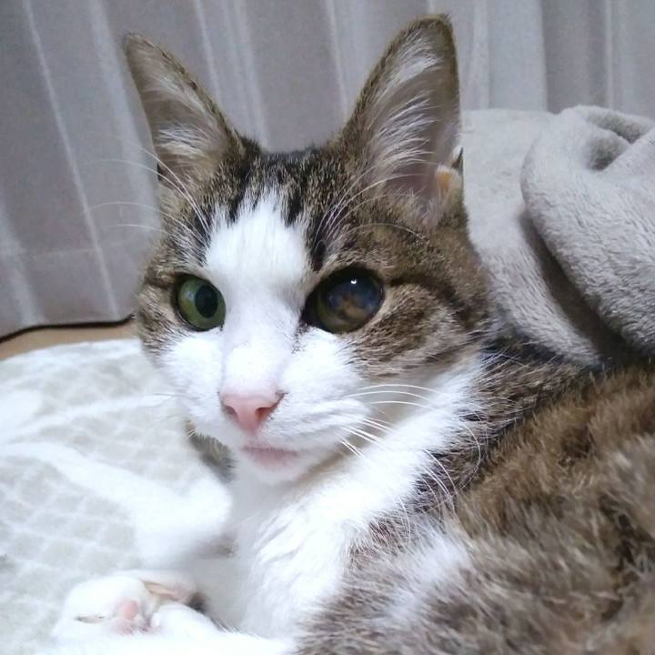 A50f5137 ccc3 4f7a b3cd 2bc798b7a37b 1552993062384