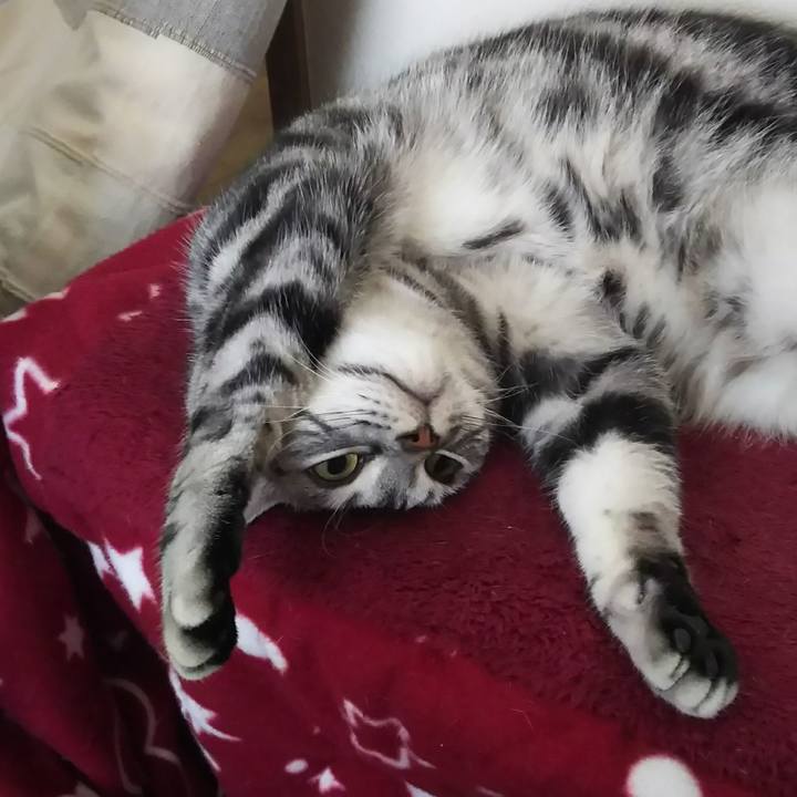 A50f651e b22e 43c0 a618 976a474620fe 1605421405496