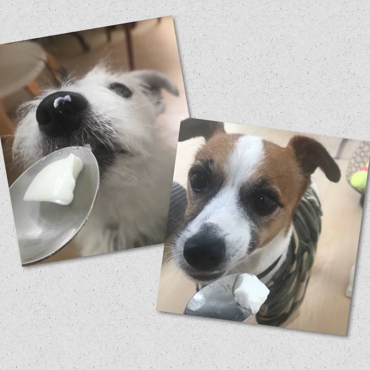 A50f758c 2a78 4d7e 9c02 10a163596f2c 1538002659031