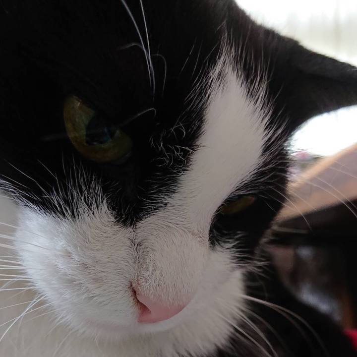 A50faa91 6c47 403c 851d 1dd041fc6877 1631613415544