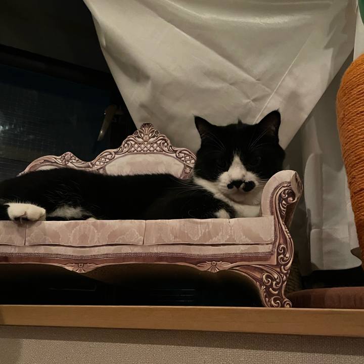 A50fe3b7 2917 4ba8 95f5 166be3b20ca4 1719501204933