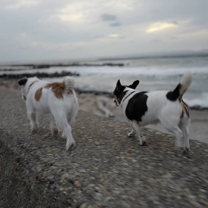 A50feec4 feab 42fb b56e f5caecb3bd6b 1508386826039