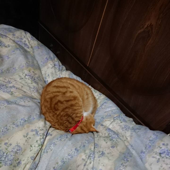 A5100535 dce0 475c a325 182b1d64ca8e 1579265839848