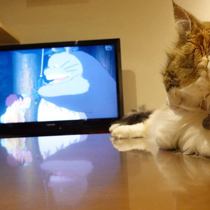 A5100ffb 945b 4529 aa2a fb6e9f870fc0 1597410772896