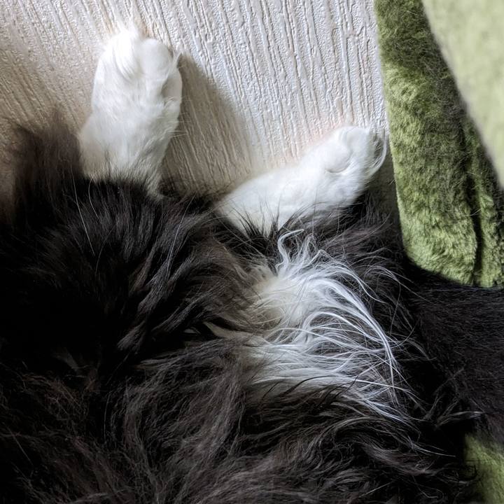 A5103179 b077 4f13 b367 397e9b689247 1699333359838