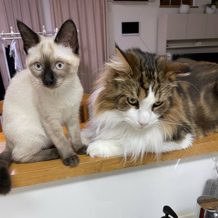 A5105634 b2ec 4d33 9a78 997ed1ca3e3e 1691265002356