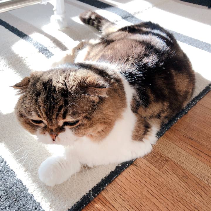 A510586f 151e 4490 af9f 9b17a172d1be 1557266306845