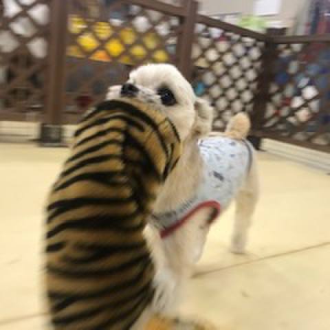 A5106907 b4a8 4b00 8902 c19a9256c8c1 1549977617807