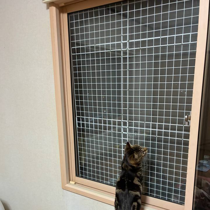 A51095c7 c6fb 4fd0 982d 536c13b3950a 1747828816187